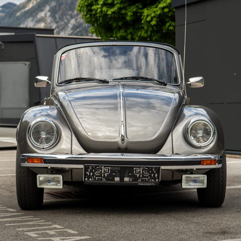 Ein blauer SUV parkt unter einem Holzunterstand in einer grünen Umgebung.